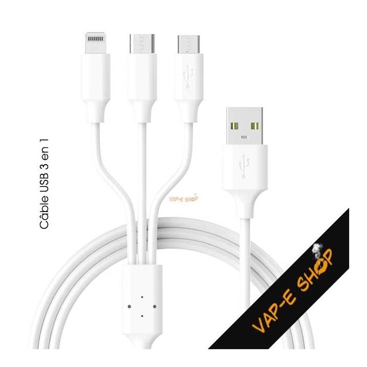 Câble USB Universel 3 en 1
